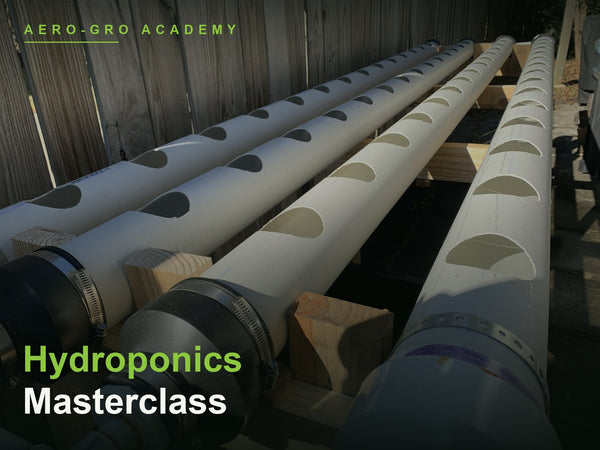 Hydroponics Masterclass | Learn Hydroponic Growing