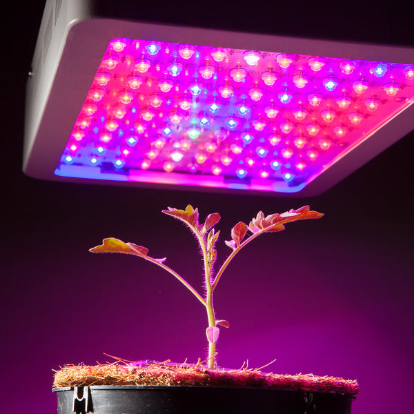 Grow Light Course | PAR, PPFD & DLI Explained