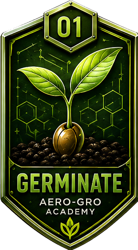 Module 01 badge