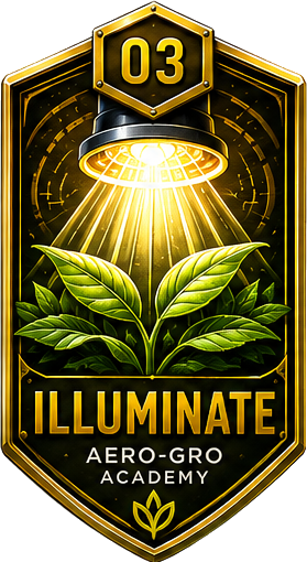 Module 03 badge