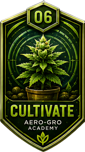 Module 06 badge
