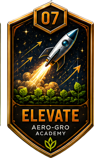 Module 07 badge
