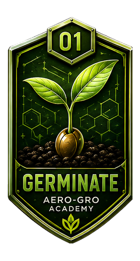 Module 01 badge