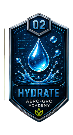 Module 02 badge
