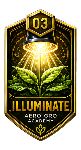 Module 03 badge
