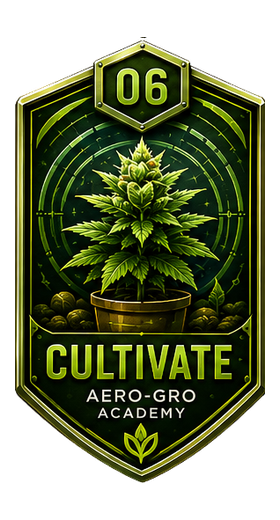 Module 06 badge