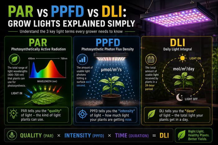 PAR vs PPFD vs DLI: Grow Lights Explained Simply