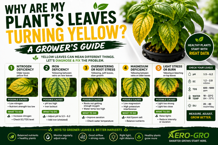 Why Are My Plant's Leaves Turning Yellow? A Grower's Guide