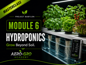 Hydroponics Masterclass | Learn Hydroponic Growing | Module 6