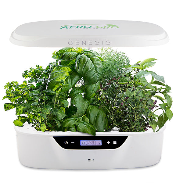 Hydroponic DWC Germinator