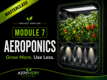 Aeroponics Course | Learn High-Pressure Aeroponics | Module 7