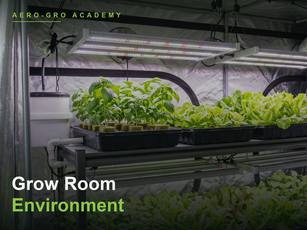 Indoor Grow Room Environment Course | VPD & Airflow