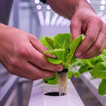 Session 1 — Indoor Growing 101