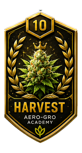 Module 10 badge