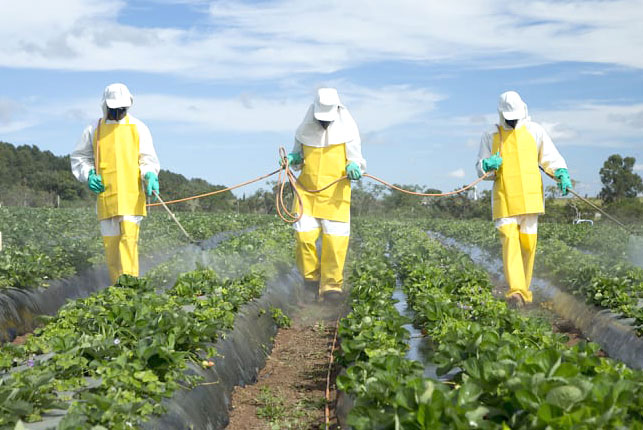 Commercial farming using dangerous chemicals